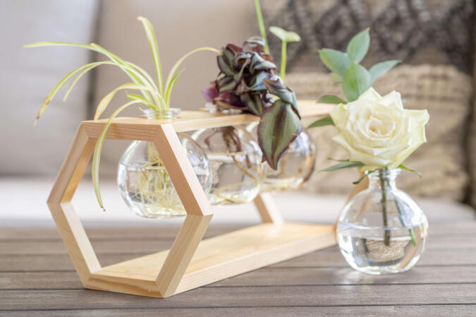 Express your creativity Express your creativity